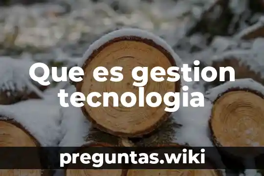 Que es gestion tecnologia