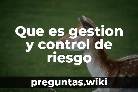 Que es gestion y control de riesgo