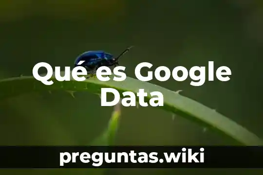 Qué es Google Data