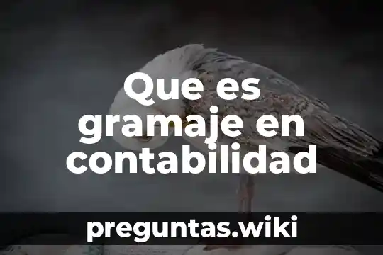 Que es gramaje en contabilidad