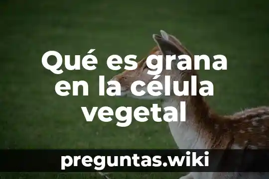 Qué es grana en la célula vegetal