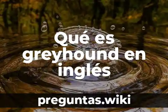 Qué es greyhound en inglés