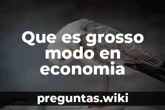 Que es grosso modo en economia