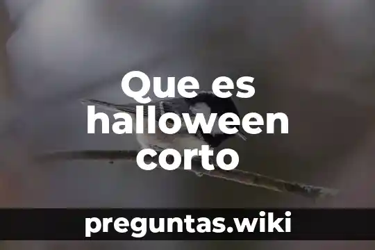 Que es halloween corto
