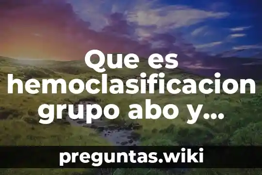 Que es hemoclasificacion grupo abo y factor rh