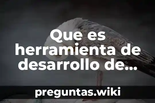 Que es herramienta de desarrollo de software