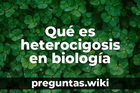 Qué es heterocigosis en biología