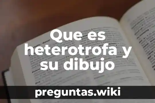 Que es heterotrofa y su dibujo