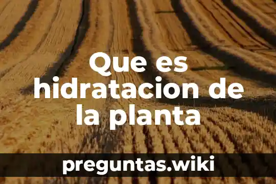 Que es hidratacion de la planta