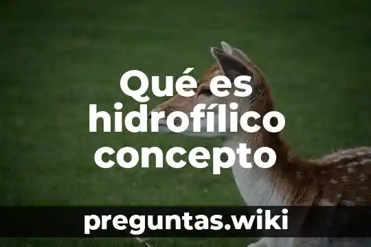 Qué es hidrofílico concepto