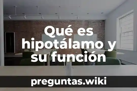 Qué es hipotálamo y su función