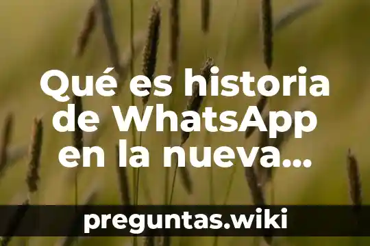 Qué es historia de WhatsApp en la nueva actualización