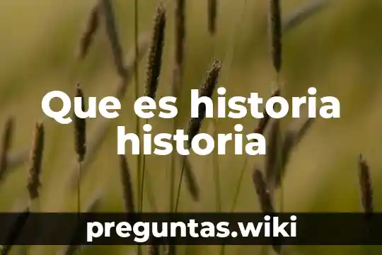 Que es historia historia