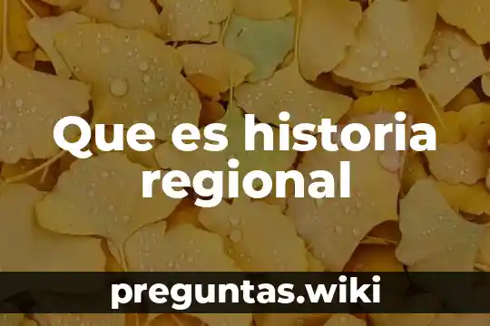 Que es historia regional