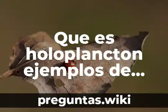 Que es holoplancton ejemplos de estas especies