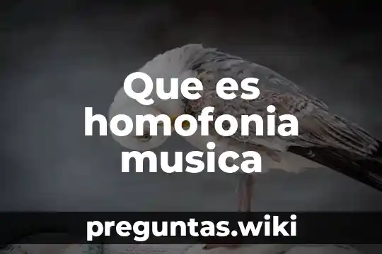 Que es homofonia musica