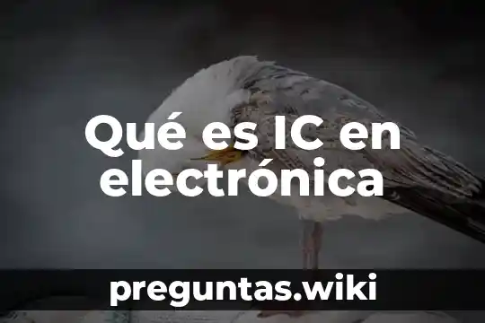 Qué es IC en electrónica