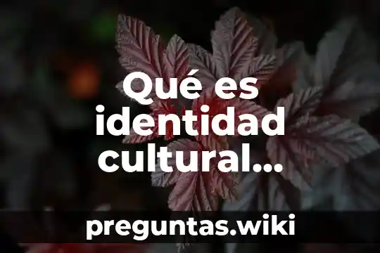 Qué es identidad cultural concepto