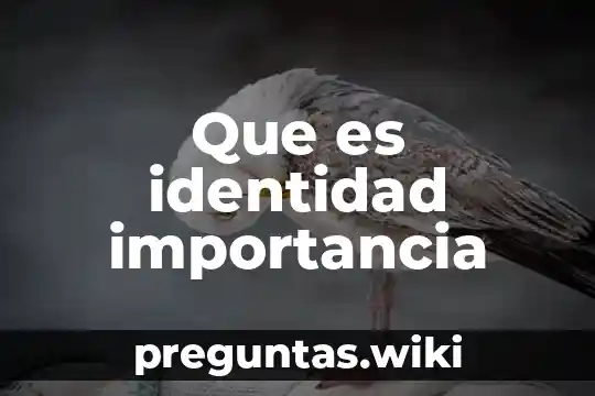 Que es identidad importancia