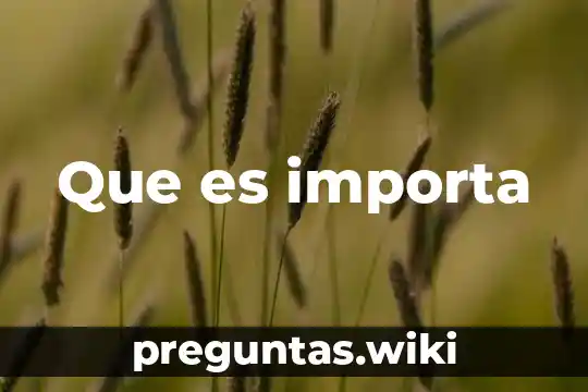 Que es importa