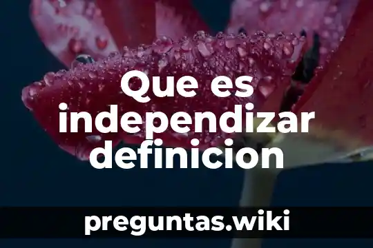 Que es independizar definicion