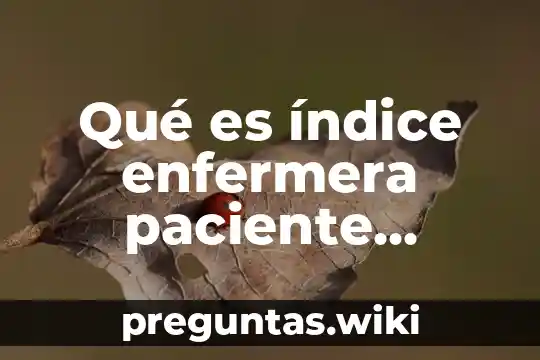 Qué es índice enfermera paciente paciente