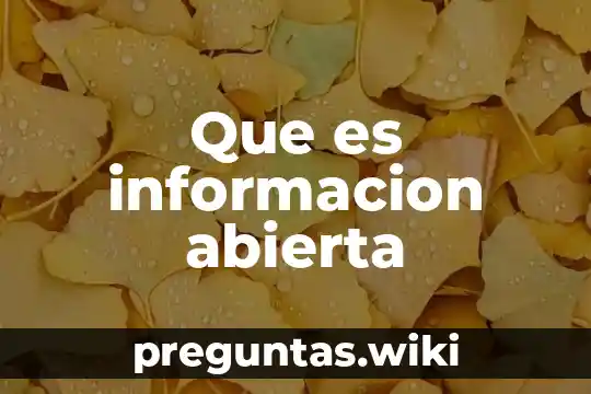 Que es informacion abierta