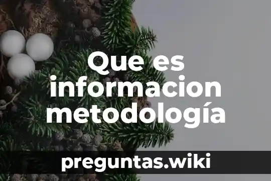 Que es informacion metodología