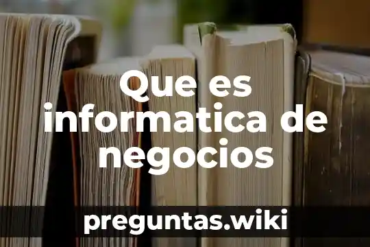 Que es informatica de negocios