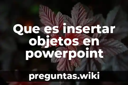 Que es insertar objetos en powerpoint