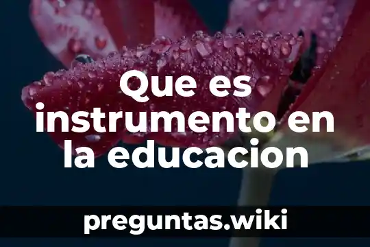 Que es instrumento en la educacion