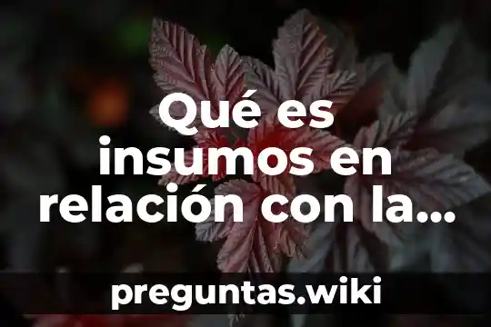 Qué es insumos en relación con la norma ISO 9001