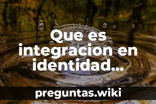 Que es integracion en identidad ciencias sociales