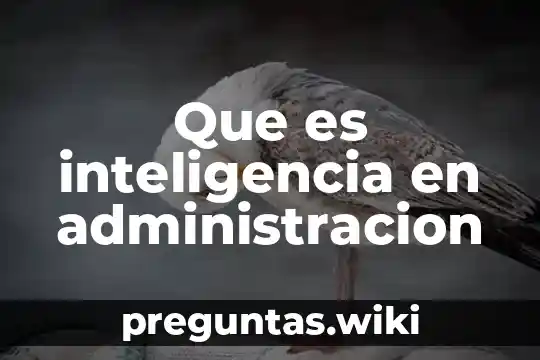 Que es inteligencia en administracion