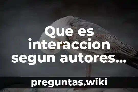 Que es interaccion segun autores prezi