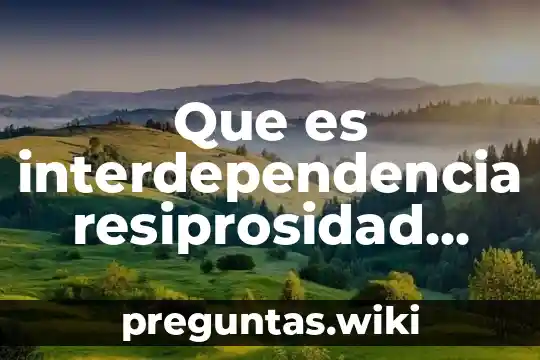 Que es interdependencia resiprosidad social