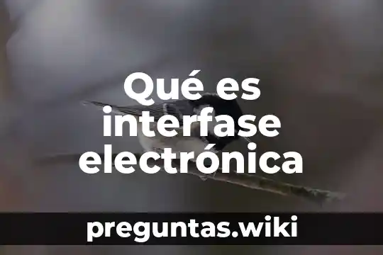 Qué es interfase electrónica