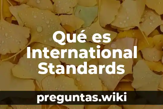 Qué es International Standards
