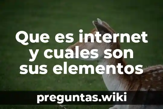 Que es internet y cuales son sus elementos