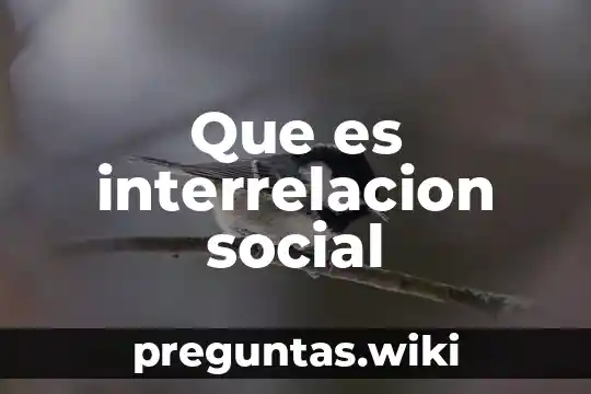 Que es interrelacion social