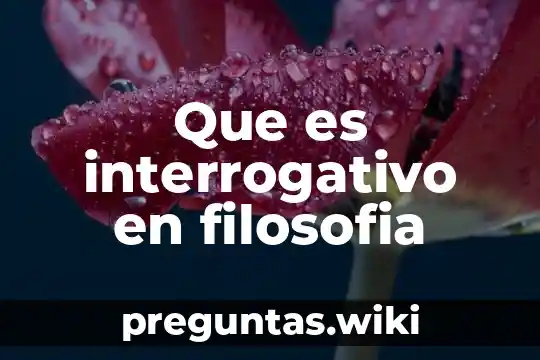 Que es interrogativo en filosofia