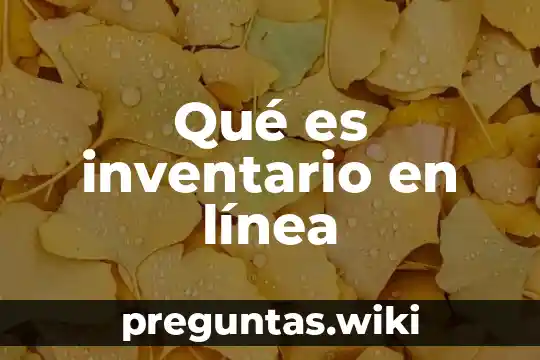 Qué es inventario en línea