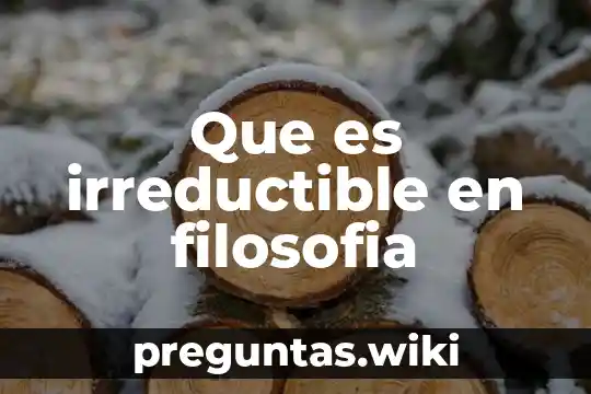 Que es irreductible en filosofia