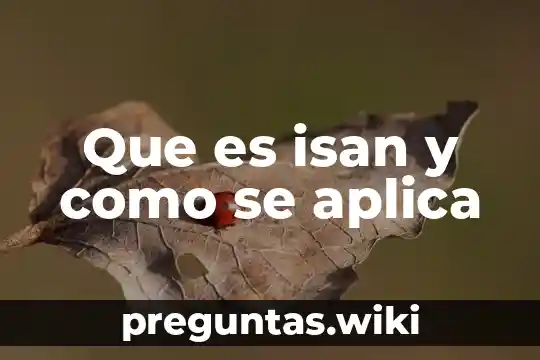 Que es isan y como se aplica