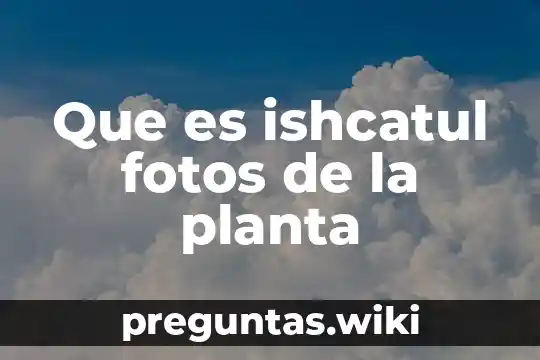 Que es ishcatul fotos de la planta