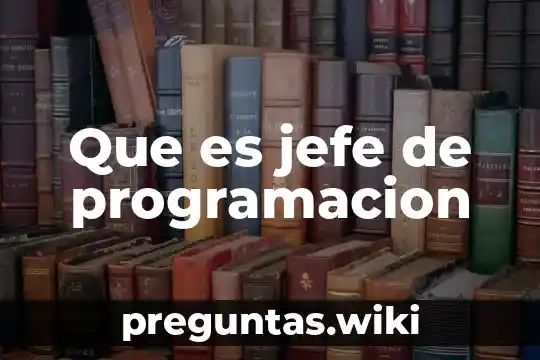 Que es jefe de programacion