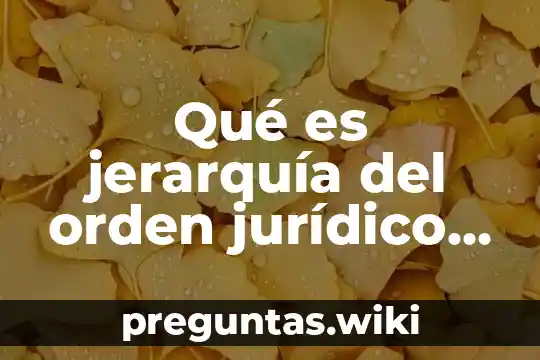 Qué es jerarquía del orden jurídico mexicano