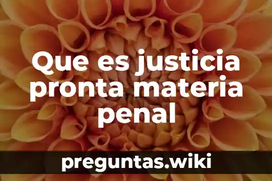 Que es justicia pronta materia penal