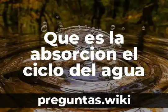 Que es la absorcion el ciclo del agua