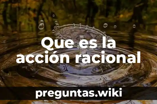 Que es la acción racional